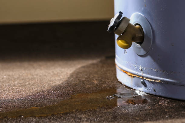 Best Water damage cleanup near me  in Port Oconnor, TX