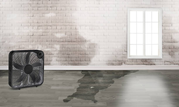 Best Water damage restoration near me  in Port Oconnor, TX
