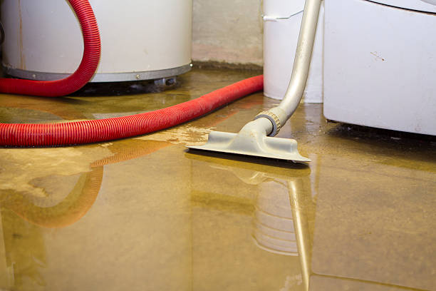 Best Commercial water damage restoration  in Port Oconnor, TX