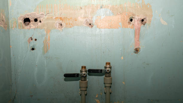 Best Flood damage cleanup  in Port Oconnor, TX