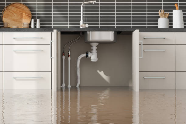 Best Water damage contractors near me  in Port Oconnor, TX