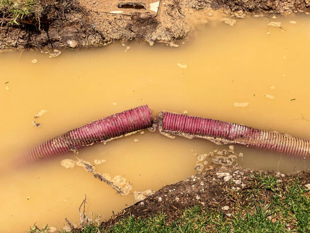Best Water damage contractors near me  in Port Oconnor, TX